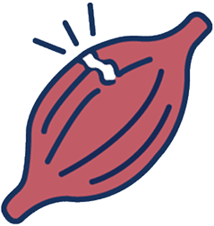 Illustration of muscle healing